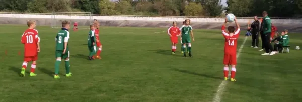 23.09.2017 SV Merseburg 99 vs. FSV Raßnitz