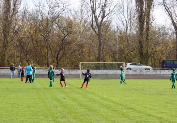 11.11.2017 SV Merseburg 99 vs. SG Spergau