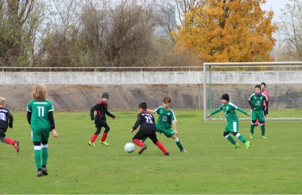 11.11.2017 SV Merseburg 99 vs. SG Spergau