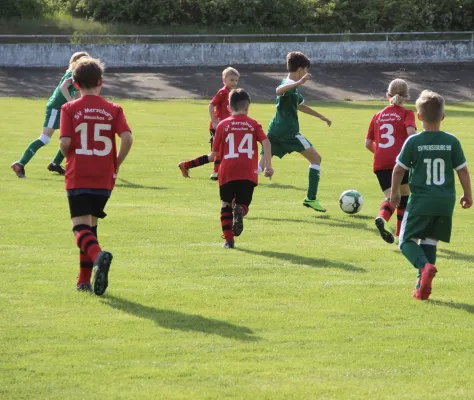 27.04.2018 SV Merseburg 99 vs. Merseburg-Meuschau