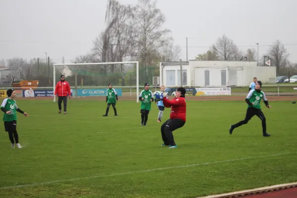 15.04.2023 SV Merseburg 99 vs. TSV 1910 Niemberg