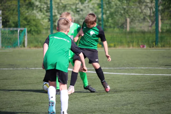 09.05.2023 SV Merseburg 99 II vs. Grün-Weiß Ammendorf