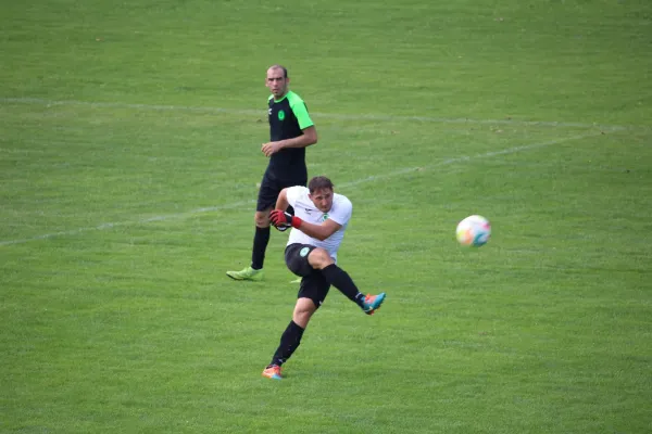 20.08.2023 SV Merseburg 99 vs. VFL Roßbach 1921