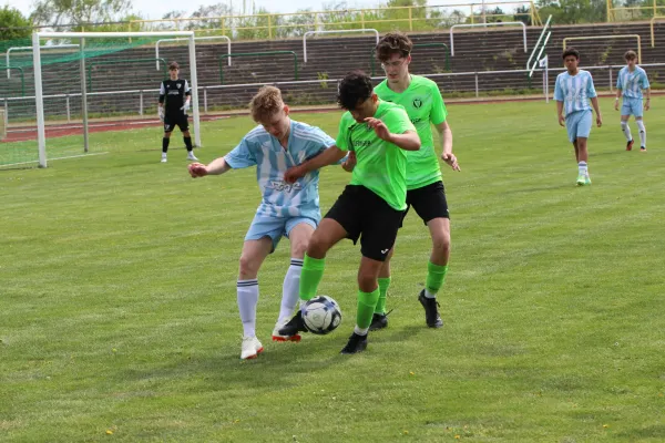 13.04.2024 SV Merseburg 99 vs. SV Blau-Weiß Dölau