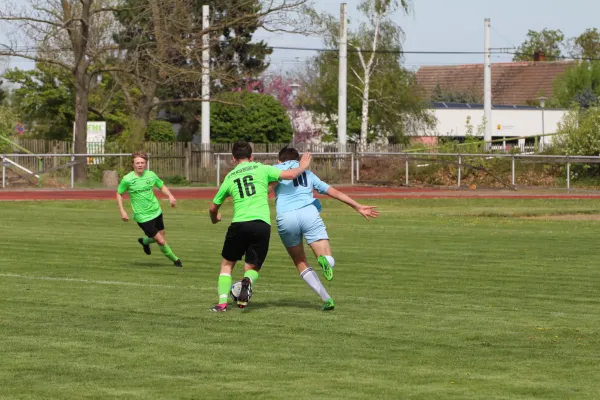13.04.2024 SV Merseburg 99 vs. SV Blau-Weiß Dölau