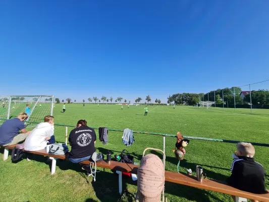 16.09.2023 SV Höhnstedt vs. SV Merseburg 99 II