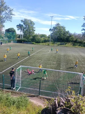 28.04.2024 SV Merseburg 99 vs. NFC Landsberg