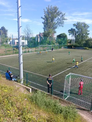 28.04.2024 SV Merseburg 99 vs. NFC Landsberg