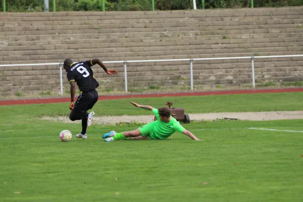12.10.2024 SV Merseburg 99 vs. SV Braunsbedra