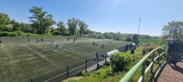 27.04.2025 SV Merseburg 99 vs. Hohenweiden