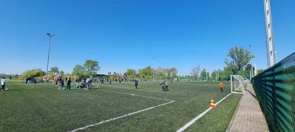 27.04.2025 SV Merseburg 99 vs. Hohenweiden