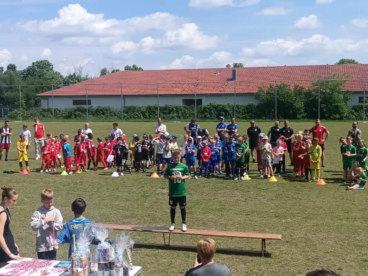 31.05.2025 BSV Halle-Ammendorf vs. SV Merseburg 99