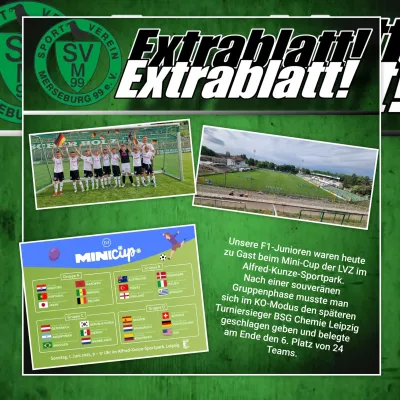 01.06.2025 BSG Chemie Leipzig vs. SV Merseburg 99
