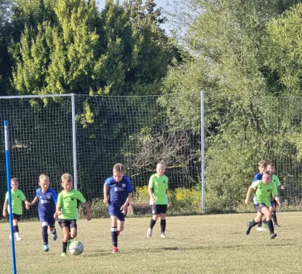 19.08.2025 SV Blau-Weiß Zorbau vs. SV Merseburg 99