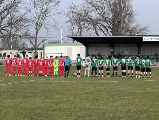 08.03.2026 SV Merseburg 99 vs. VfL Halle 96
