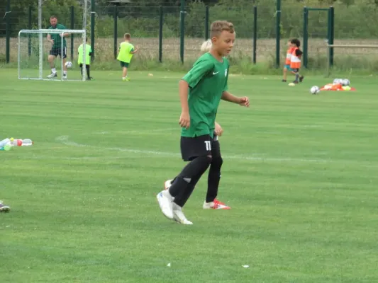 19.08.2026 SV Merseburg 99 vs. Hohenweiden