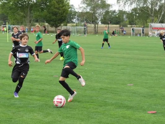 19.08.2026 SV Merseburg 99 vs. Hohenweiden