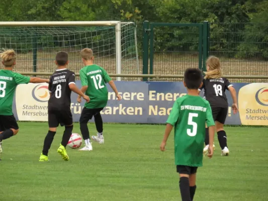 19.08.2026 SV Merseburg 99 vs. Hohenweiden