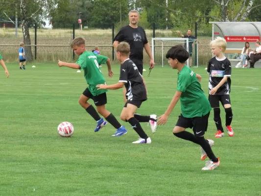 19.08.2026 SV Merseburg 99 vs. Hohenweiden