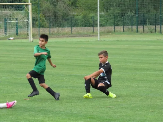 19.08.2026 SV Merseburg 99 vs. Hohenweiden