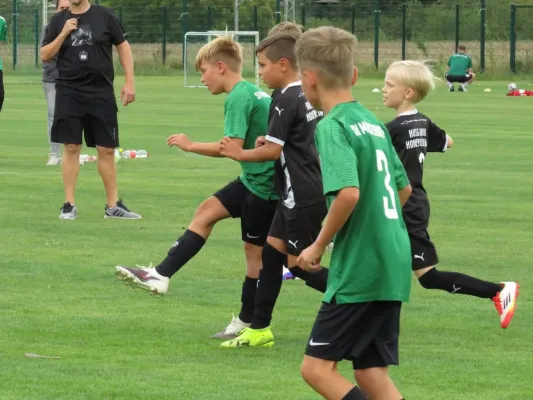 19.08.2026 SV Merseburg 99 vs. Hohenweiden