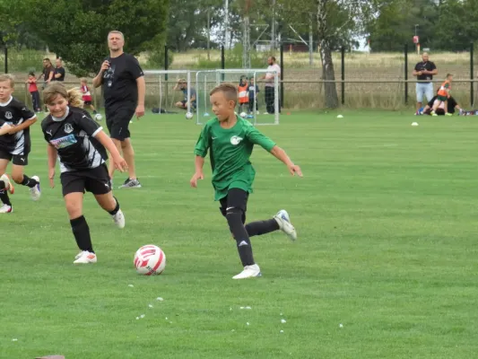 19.08.2026 SV Merseburg 99 vs. Hohenweiden