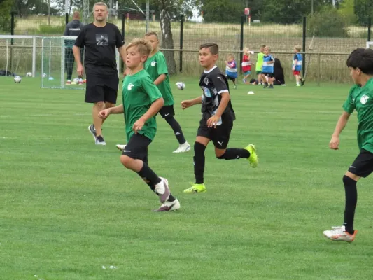 19.08.2026 SV Merseburg 99 vs. Hohenweiden
