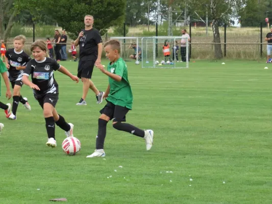 19.08.2026 SV Merseburg 99 vs. Hohenweiden