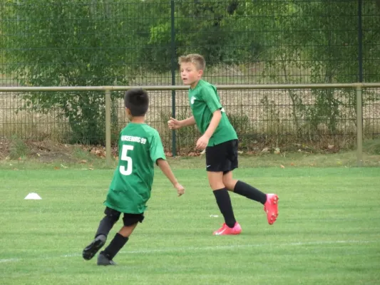 19.08.2026 SV Merseburg 99 vs. Hohenweiden