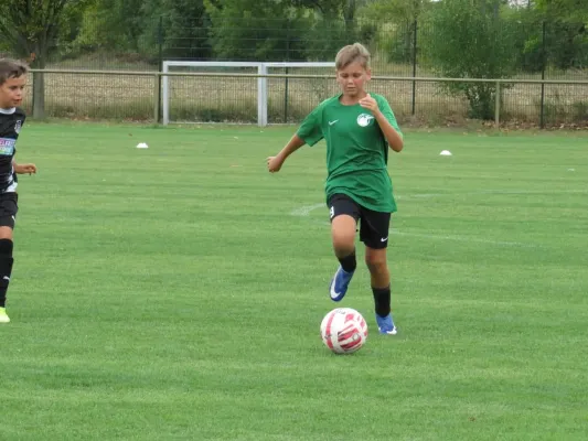 19.08.2026 SV Merseburg 99 vs. Hohenweiden