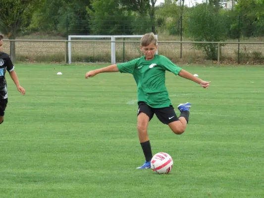 19.08.2026 SV Merseburg 99 vs. Hohenweiden