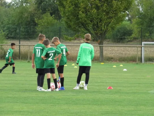 19.08.2026 SV Merseburg 99 vs. Hohenweiden