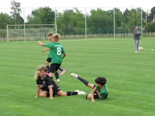19.08.2026 SV Merseburg 99 vs. Hohenweiden