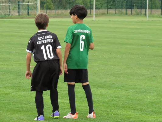 19.08.2026 SV Merseburg 99 vs. Hohenweiden