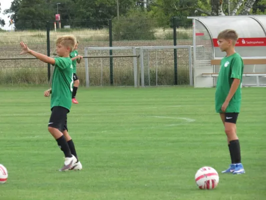 19.08.2026 SV Merseburg 99 vs. Hohenweiden