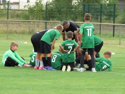 19.08.2026 SV Merseburg 99 vs. Hohenweiden