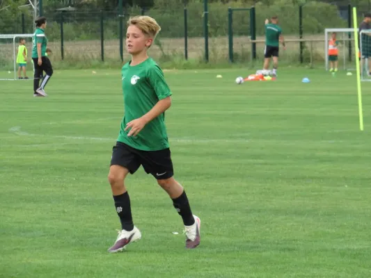 19.08.2026 SV Merseburg 99 vs. Hohenweiden