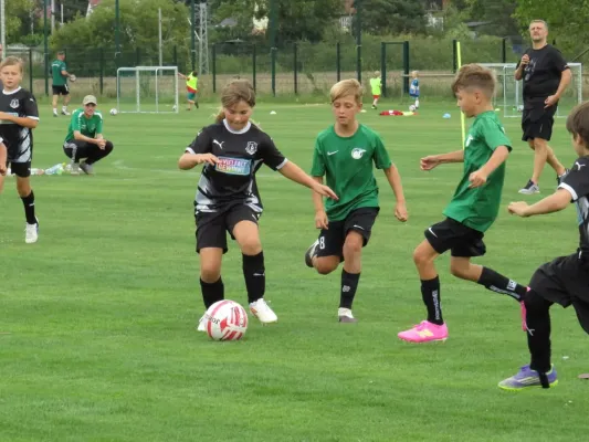19.08.2026 SV Merseburg 99 vs. Hohenweiden