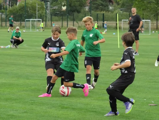 19.08.2026 SV Merseburg 99 vs. Hohenweiden
