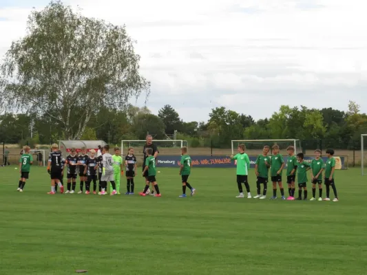 19.08.2026 SV Merseburg 99 vs. Hohenweiden