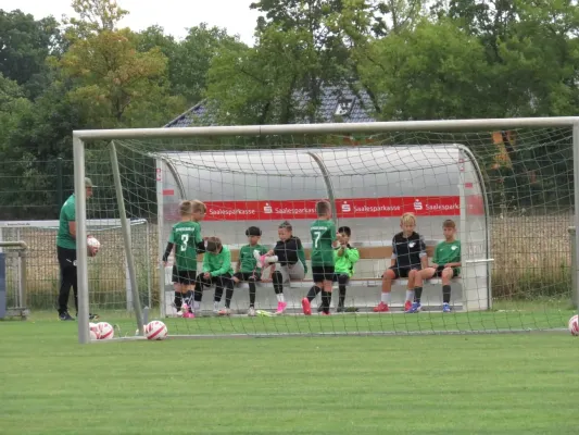 19.08.2026 SV Merseburg 99 vs. Hohenweiden