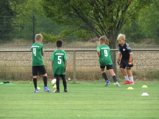 19.08.2026 SV Merseburg 99 vs. Hohenweiden