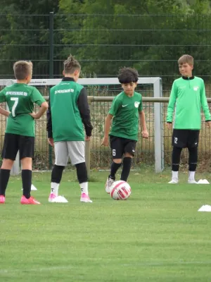 19.08.2026 SV Merseburg 99 vs. Hohenweiden