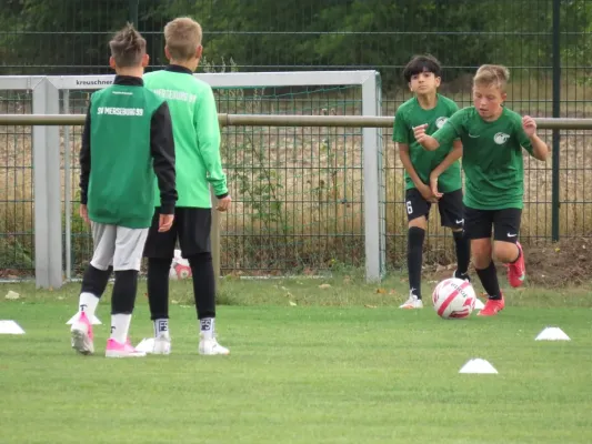 19.08.2026 SV Merseburg 99 vs. Hohenweiden