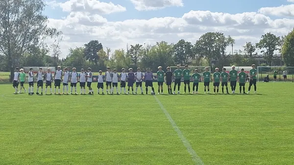 06.09.2026 SV Merseburg 99 vs. SV Grün-Weiß Langendorf