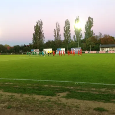 02.10.2015 BSV Halle-Ammendorf vs. SV Merseburg 99