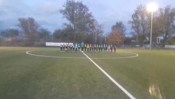 02.11.2016 SV Merseburg 99 vs. VFL Roßbach 1921