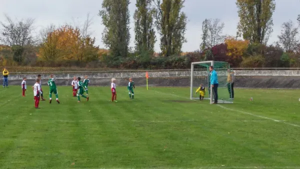 06.11.2016 SV Merseburg 99 vs. Germania Schafstädt