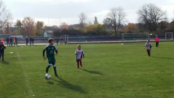 06.11.2016 SV Merseburg 99 vs. Germania Schafstädt