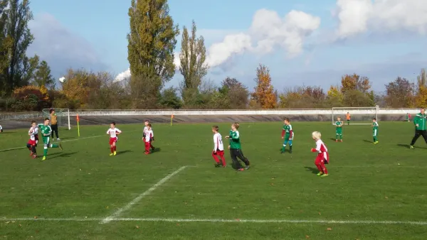 06.11.2016 SV Merseburg 99 vs. Germania Schafstädt